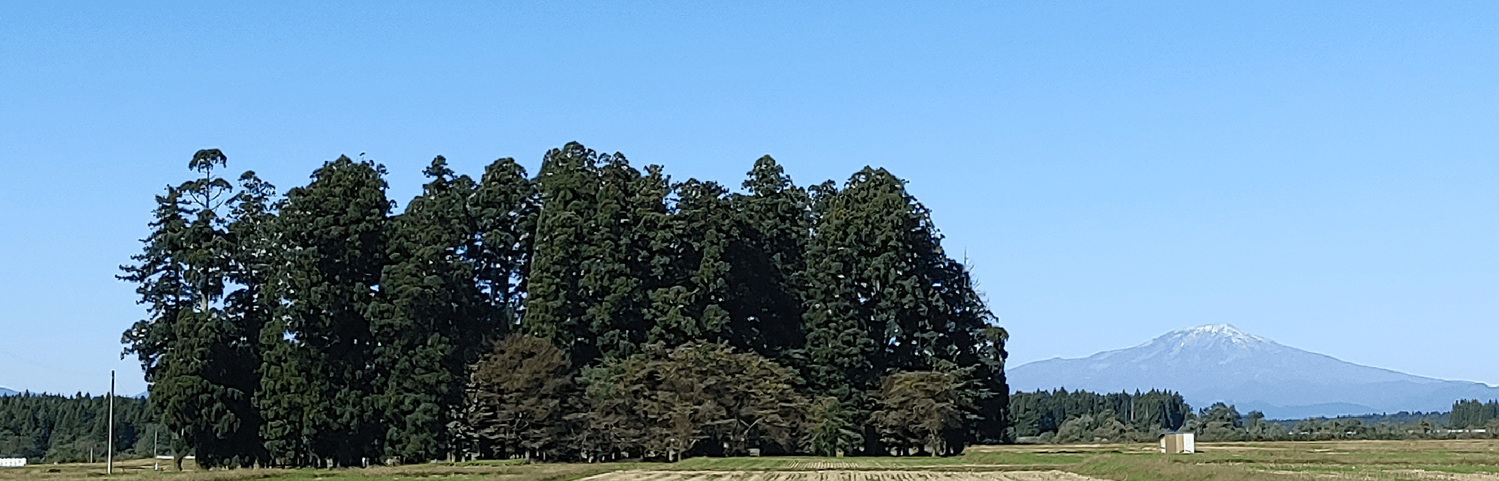 自然の風景